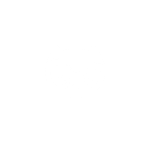 Moonbirds — AnkhLabs client, PFP NFT collection and IP