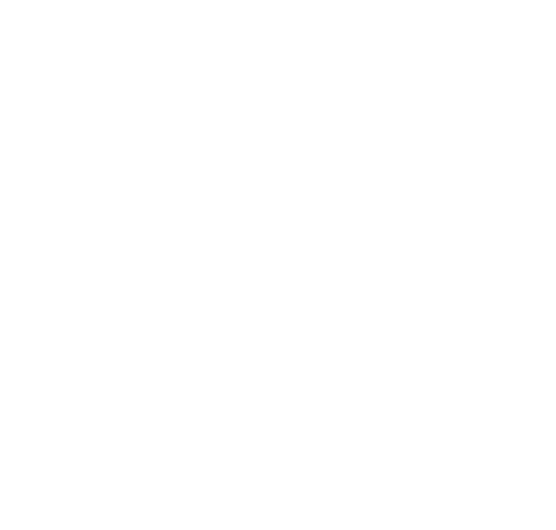 Zoop — AnkhLabs client, creator collectibles